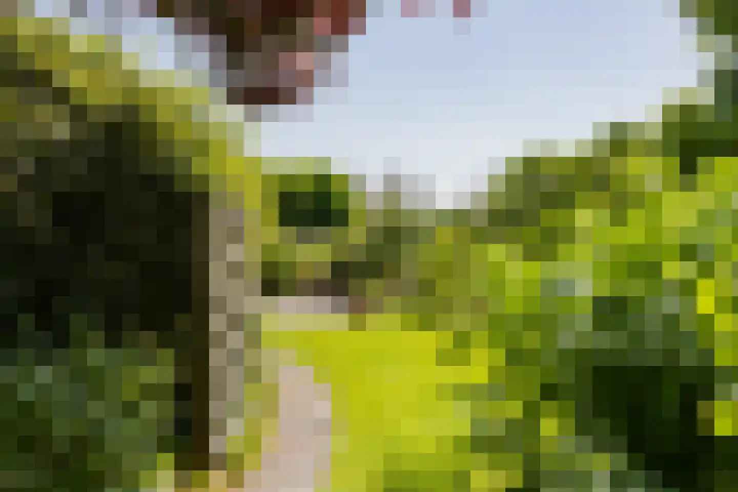 Loosterweg 14 Voorhout thumbnail 94