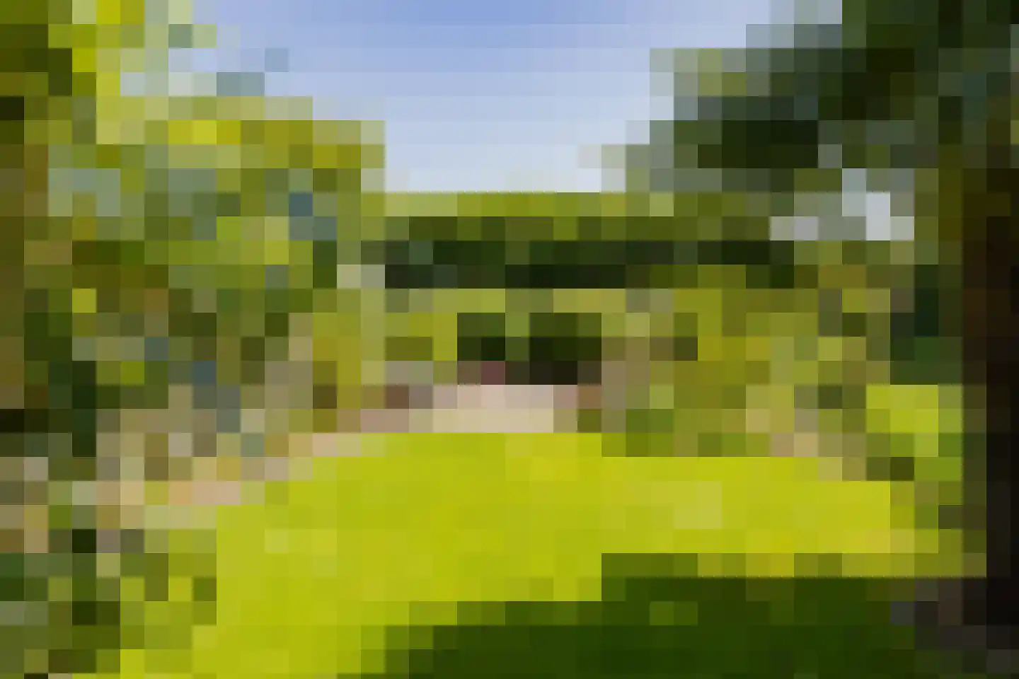 Loosterweg 14 Voorhout thumbnail 96