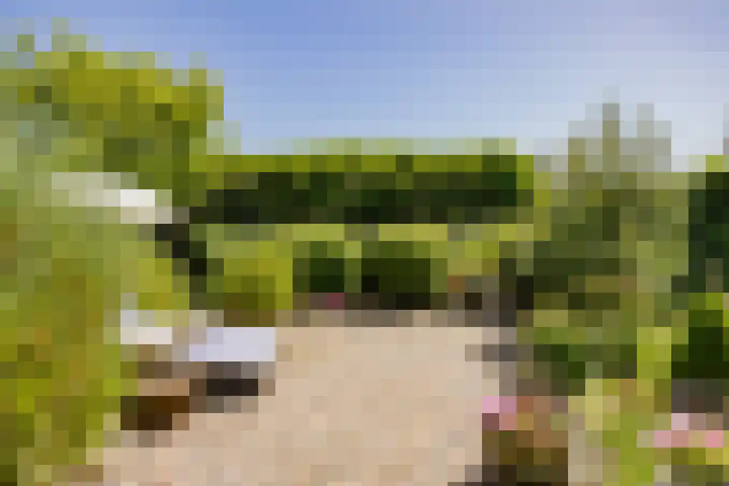 Loosterweg 14 Voorhout thumbnail 97