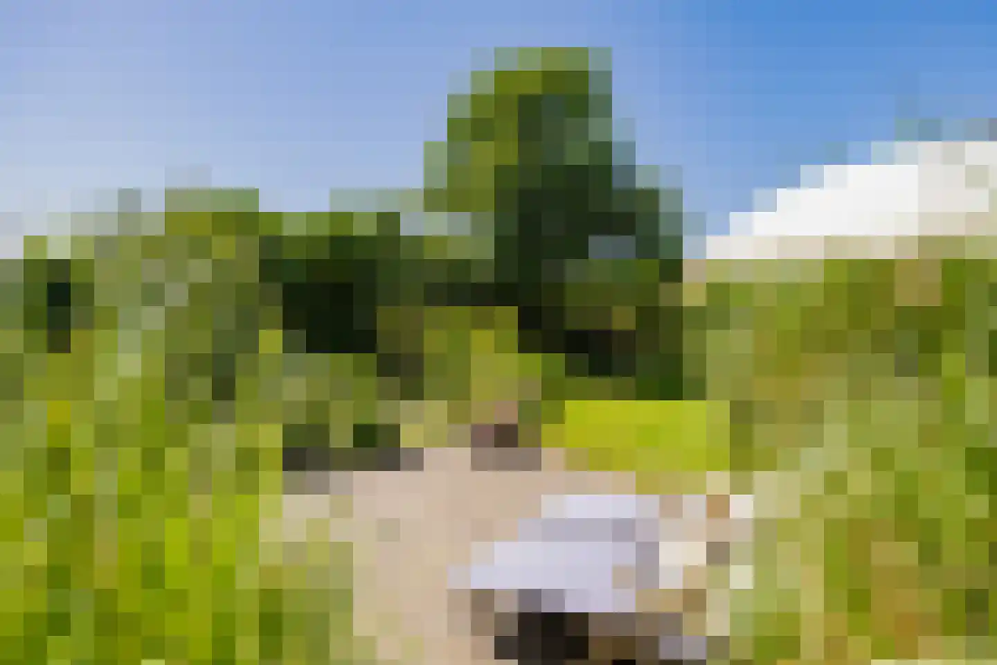 Loosterweg 14 Voorhout thumbnail 98