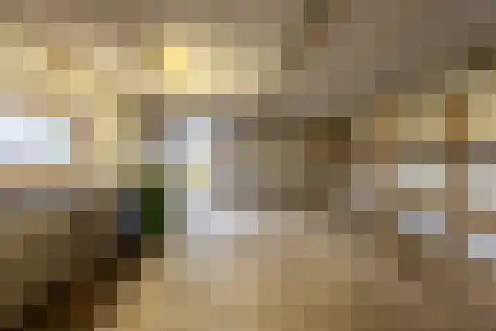 Loosterweg 4 Voorhout thumbnail 28