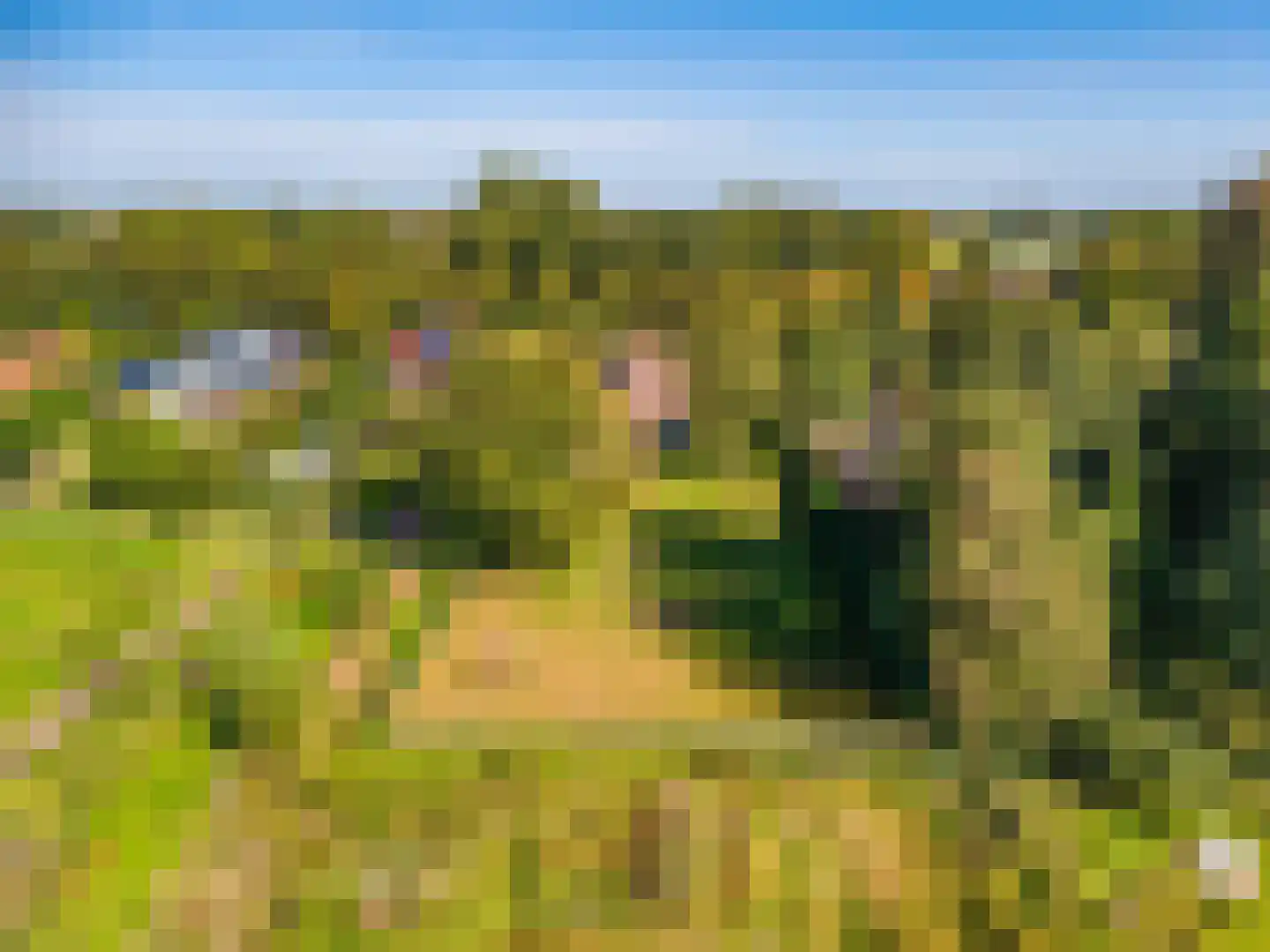 Loosterweg 7 Veelerveen thumbnail 10