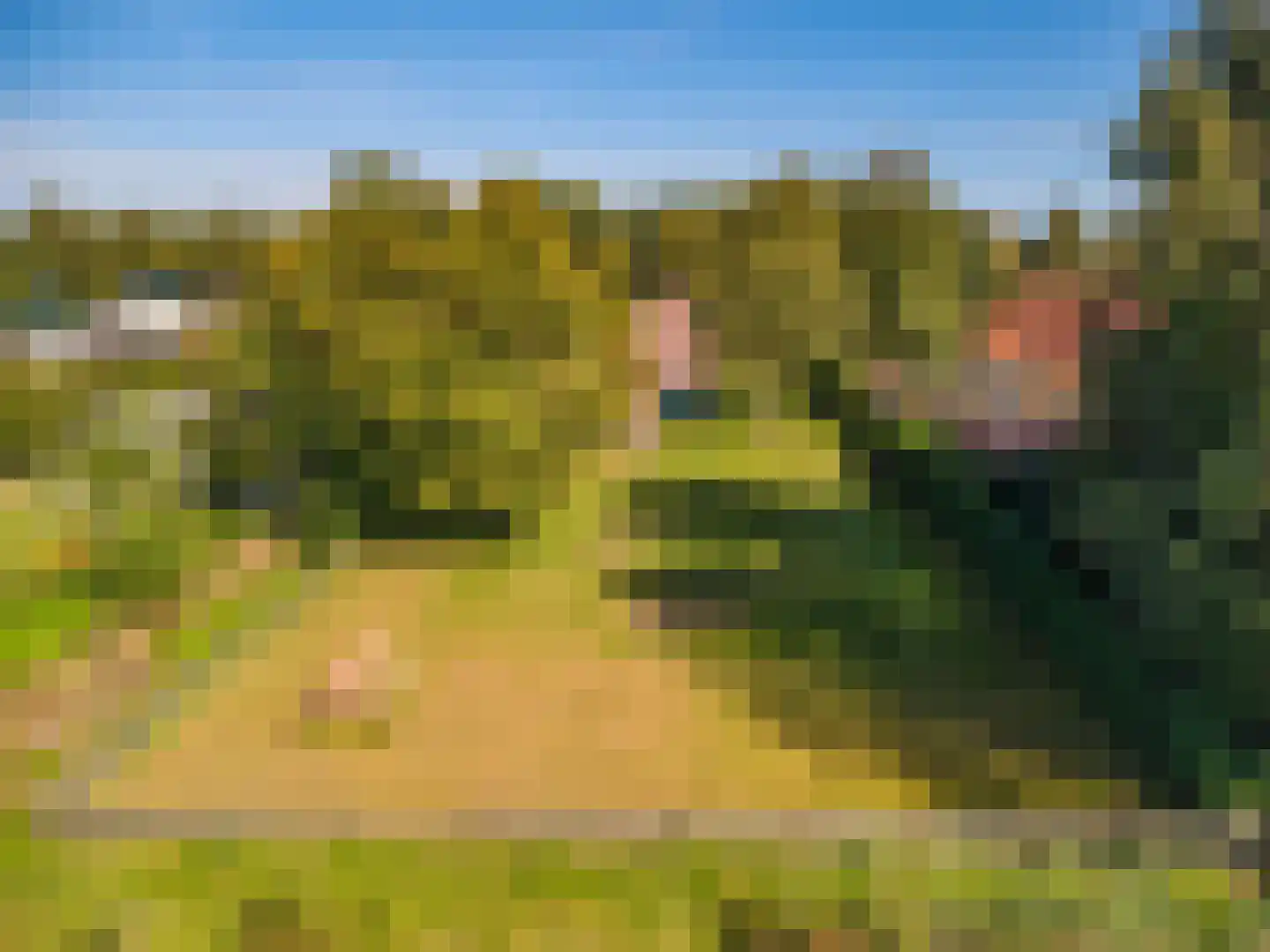Loosterweg 7 Veelerveen thumbnail 11