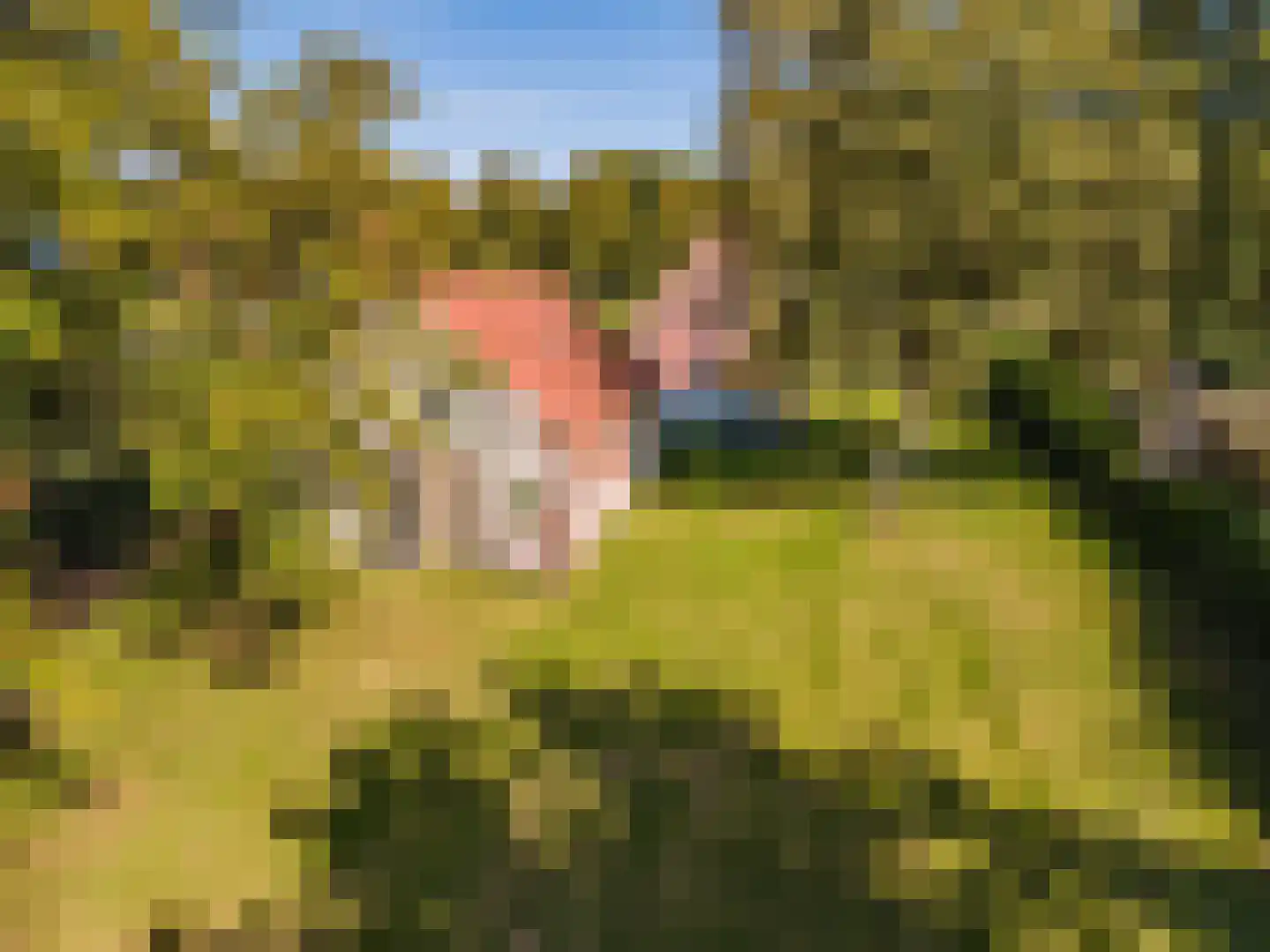 Loosterweg 7 Veelerveen thumbnail 12
