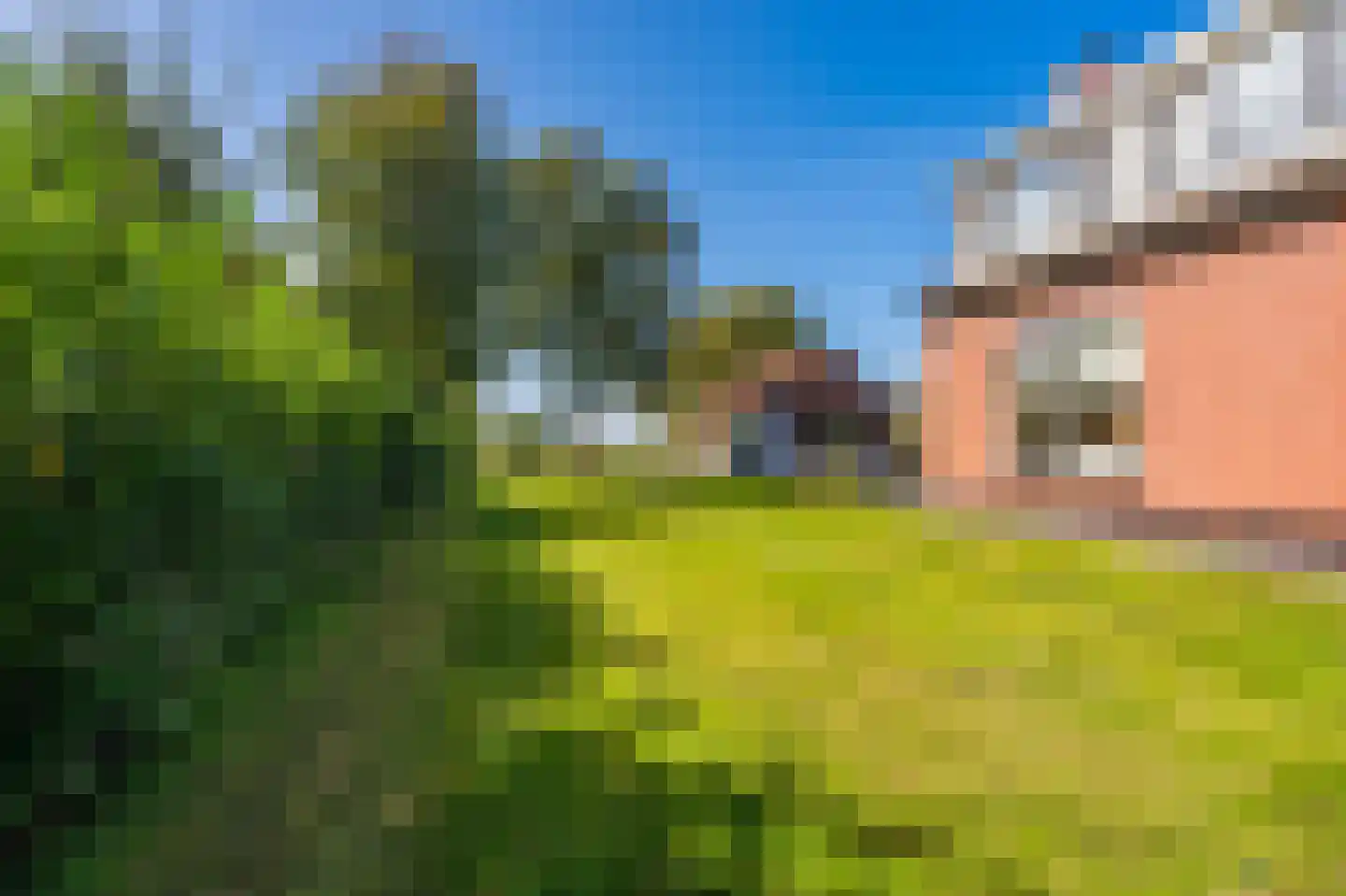 Loosterweg 7 Veelerveen thumbnail 19