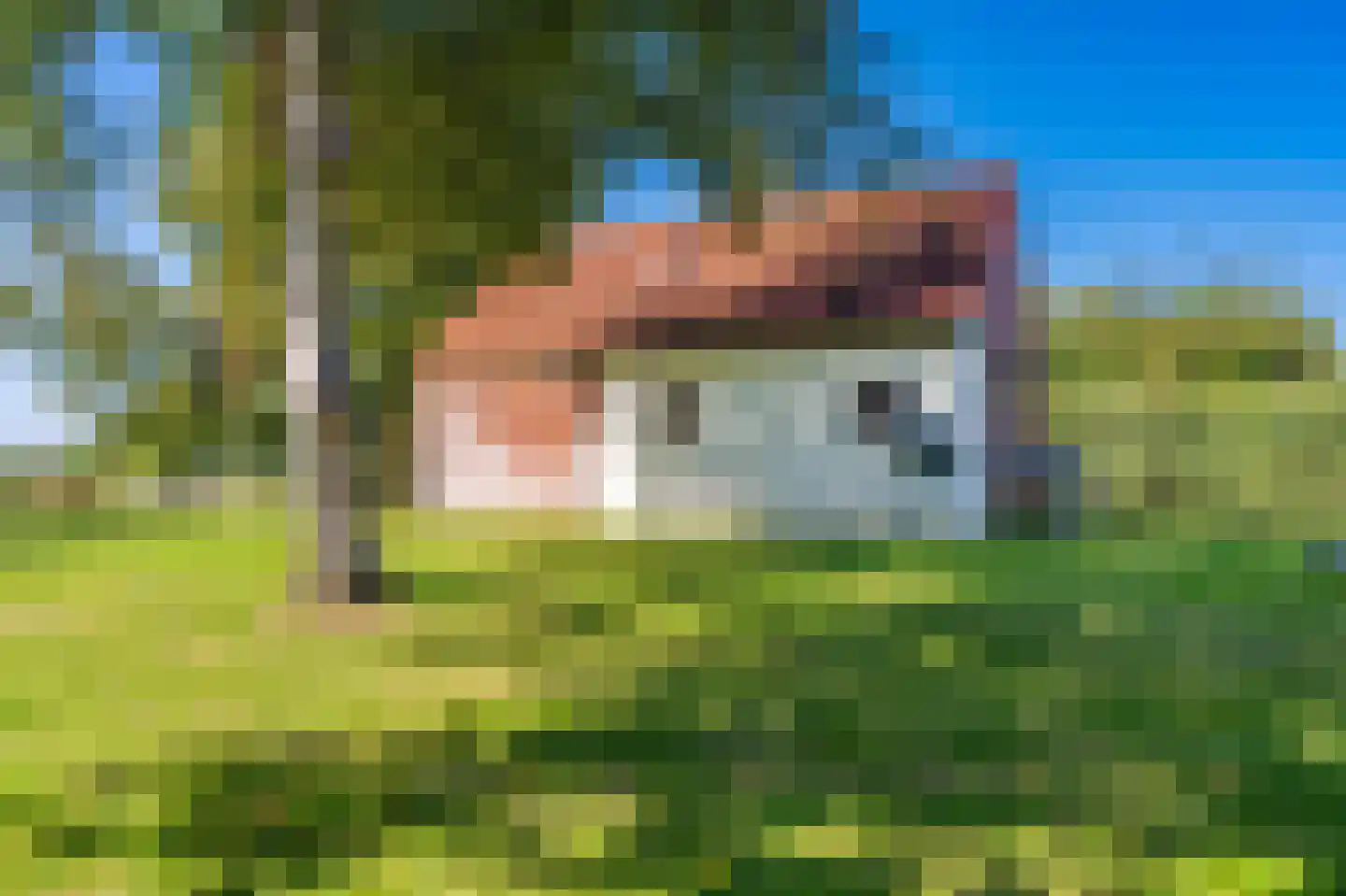 Loosterweg 7 Veelerveen thumbnail 20