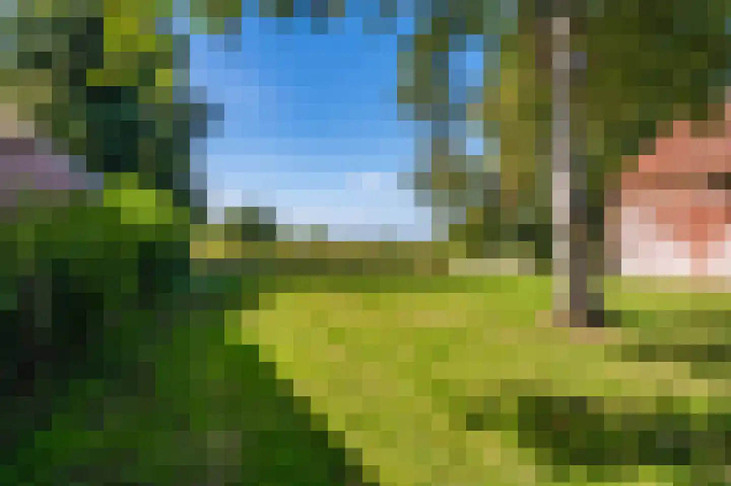 Loosterweg 7 Veelerveen thumbnail 21