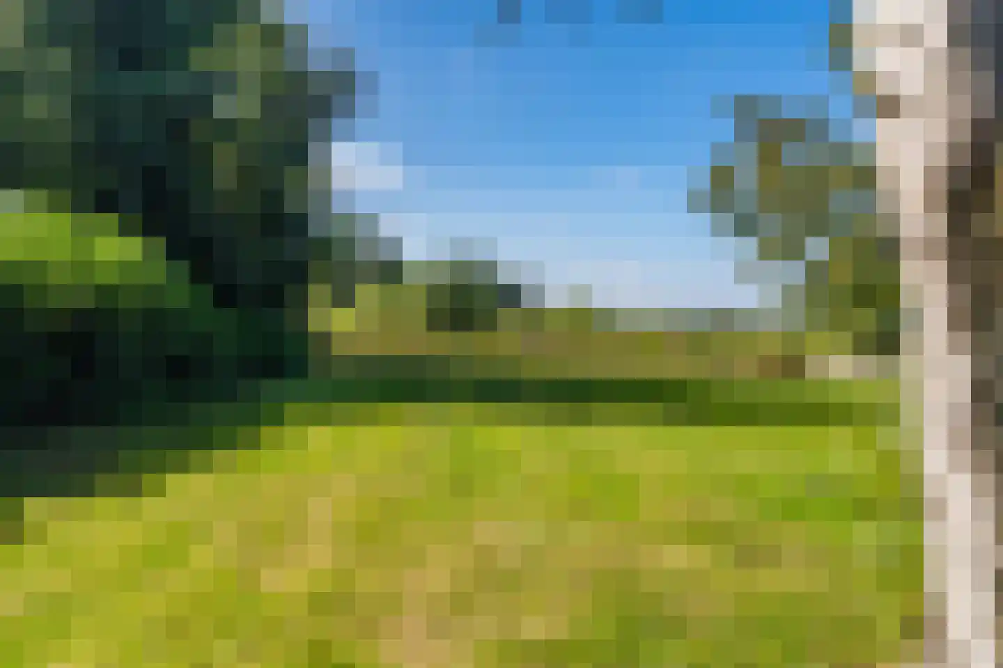 Loosterweg 7 Veelerveen thumbnail 23