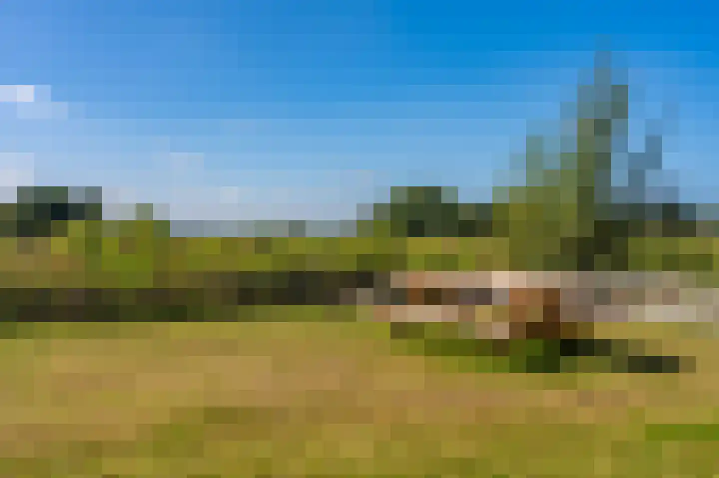 Loosterweg 7 Veelerveen thumbnail 25