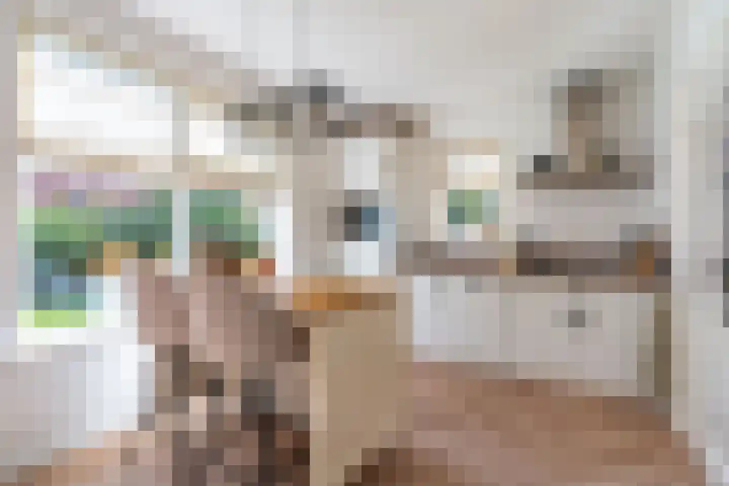 Loosterweg 7 Veelerveen thumbnail 34