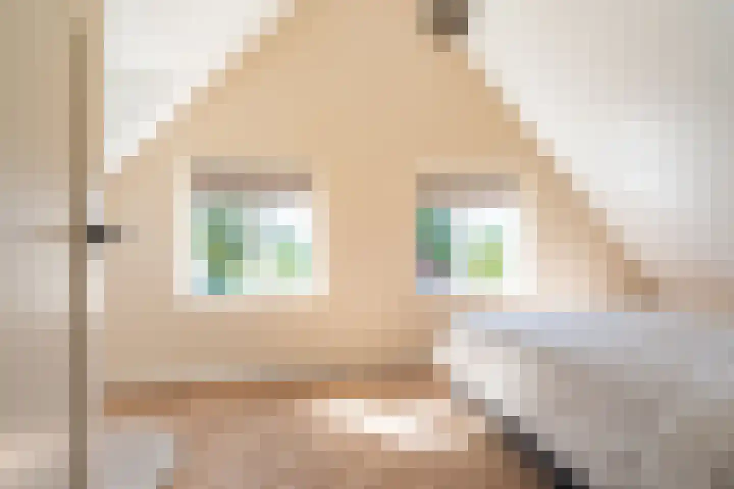 Loosterweg 7 Veelerveen thumbnail 43