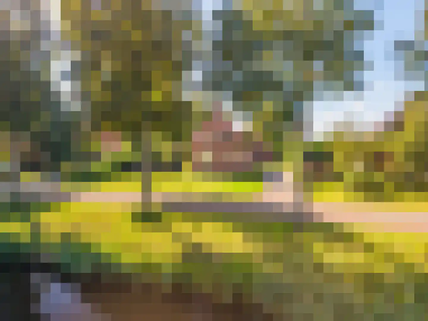 Loosterweg 7 Veelerveen thumbnail 6