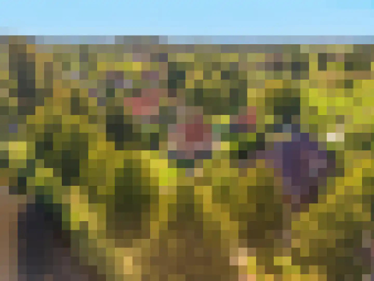 Loosterweg 7 Veelerveen thumbnail 7