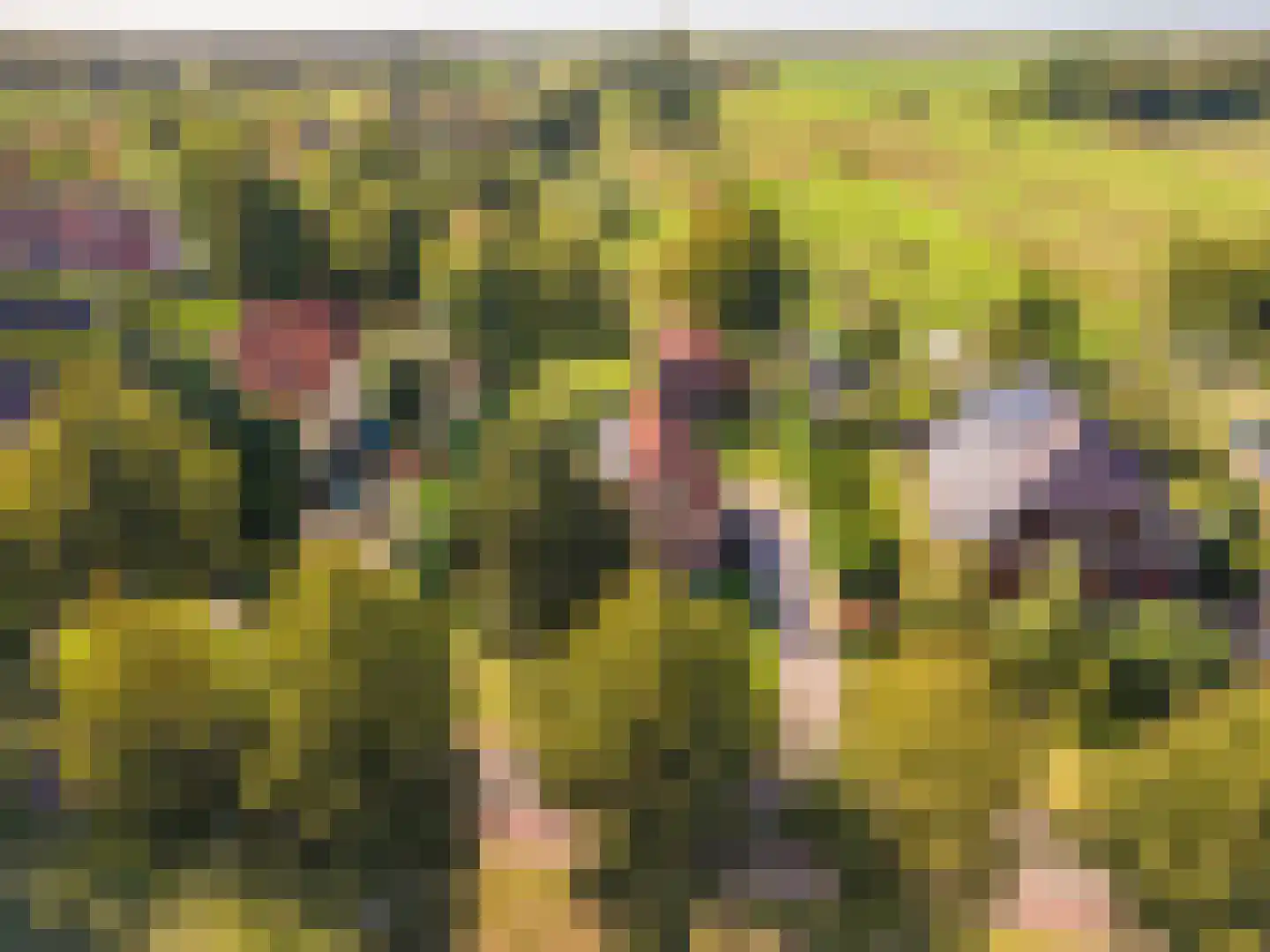 Loosterweg 7 Veelerveen thumbnail 8