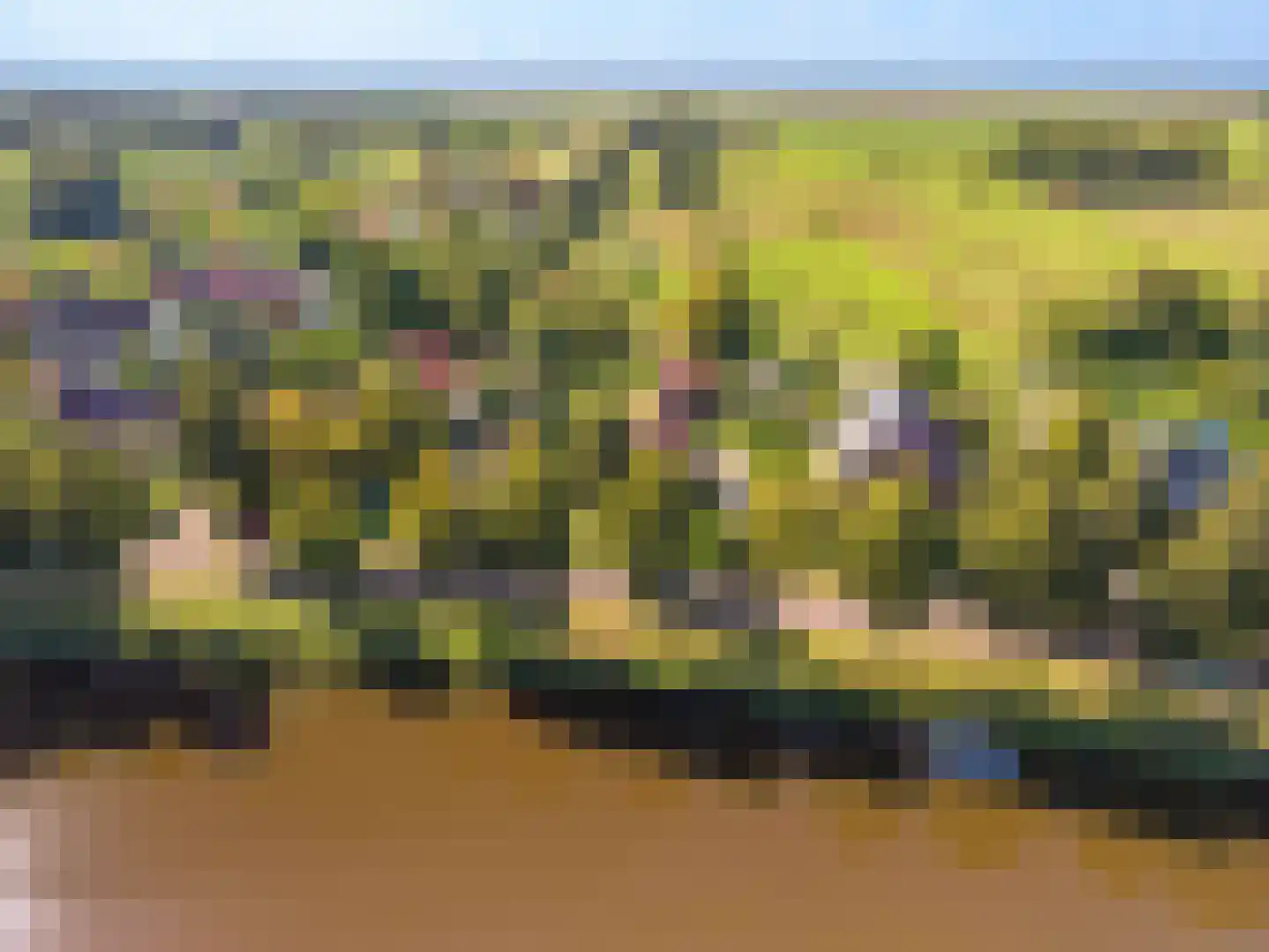 Loosterweg 7 Veelerveen thumbnail 9