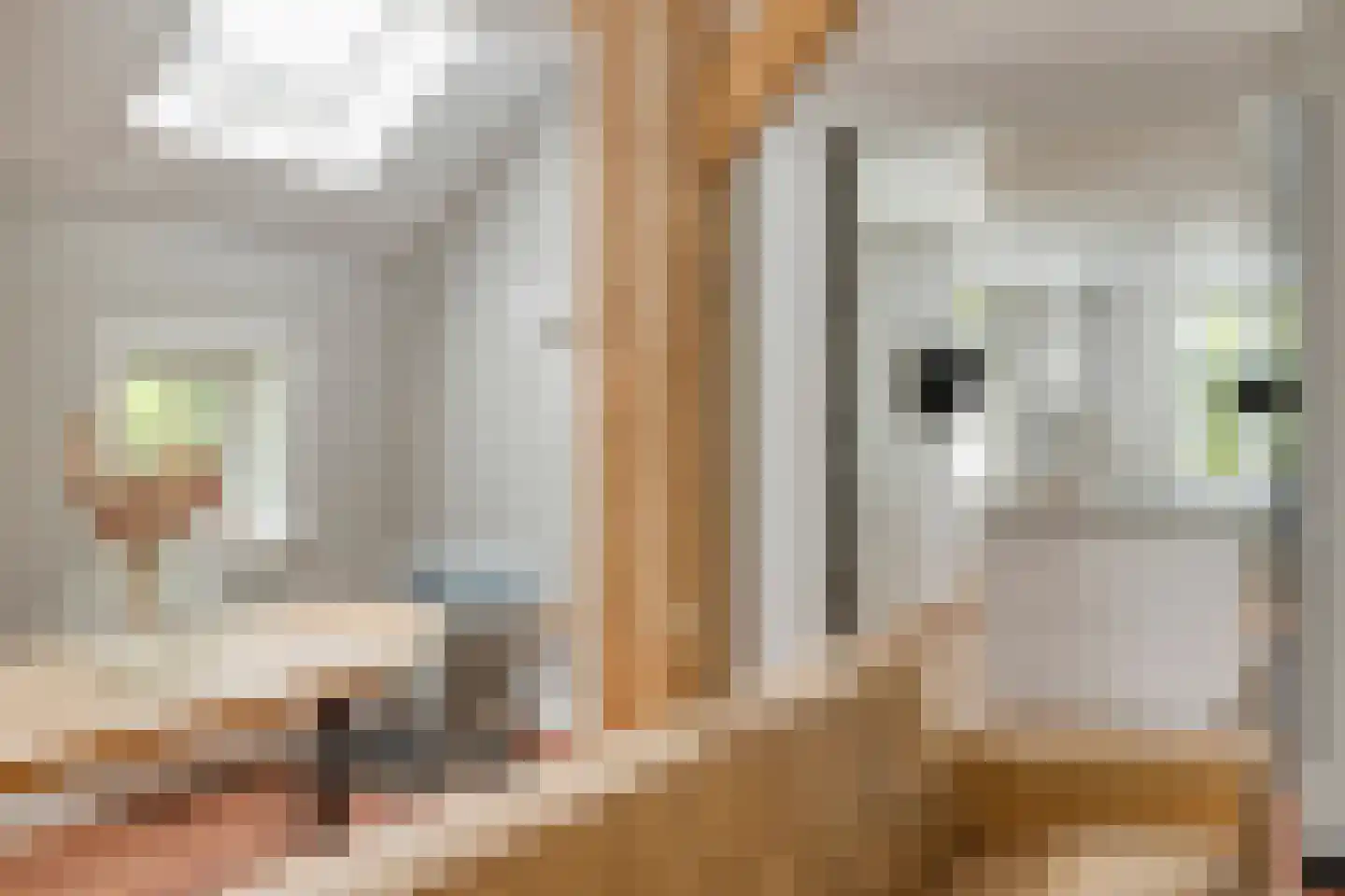 Loostraat 11 Loo Gld thumbnail 12