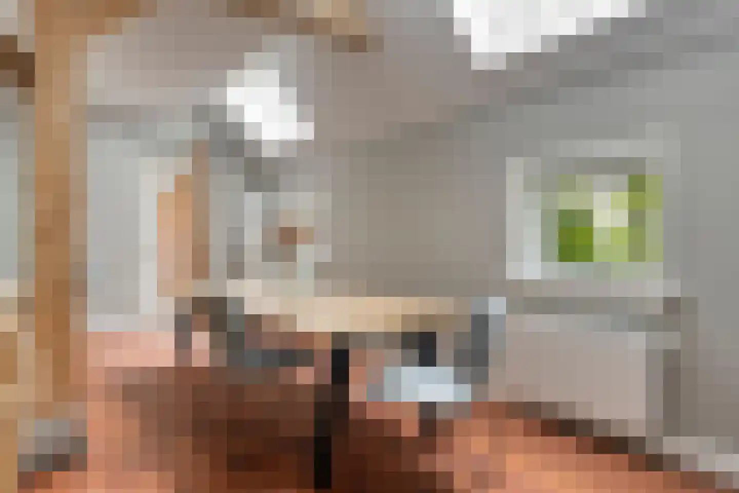 Loostraat 11 Loo Gld thumbnail 15