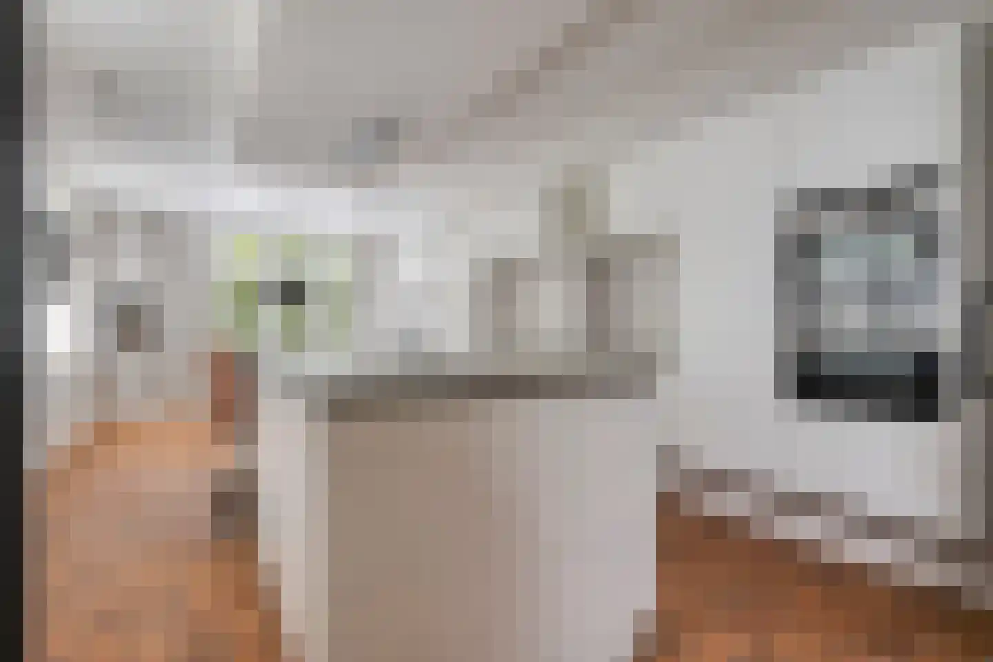 Loostraat 11 Loo Gld thumbnail 19