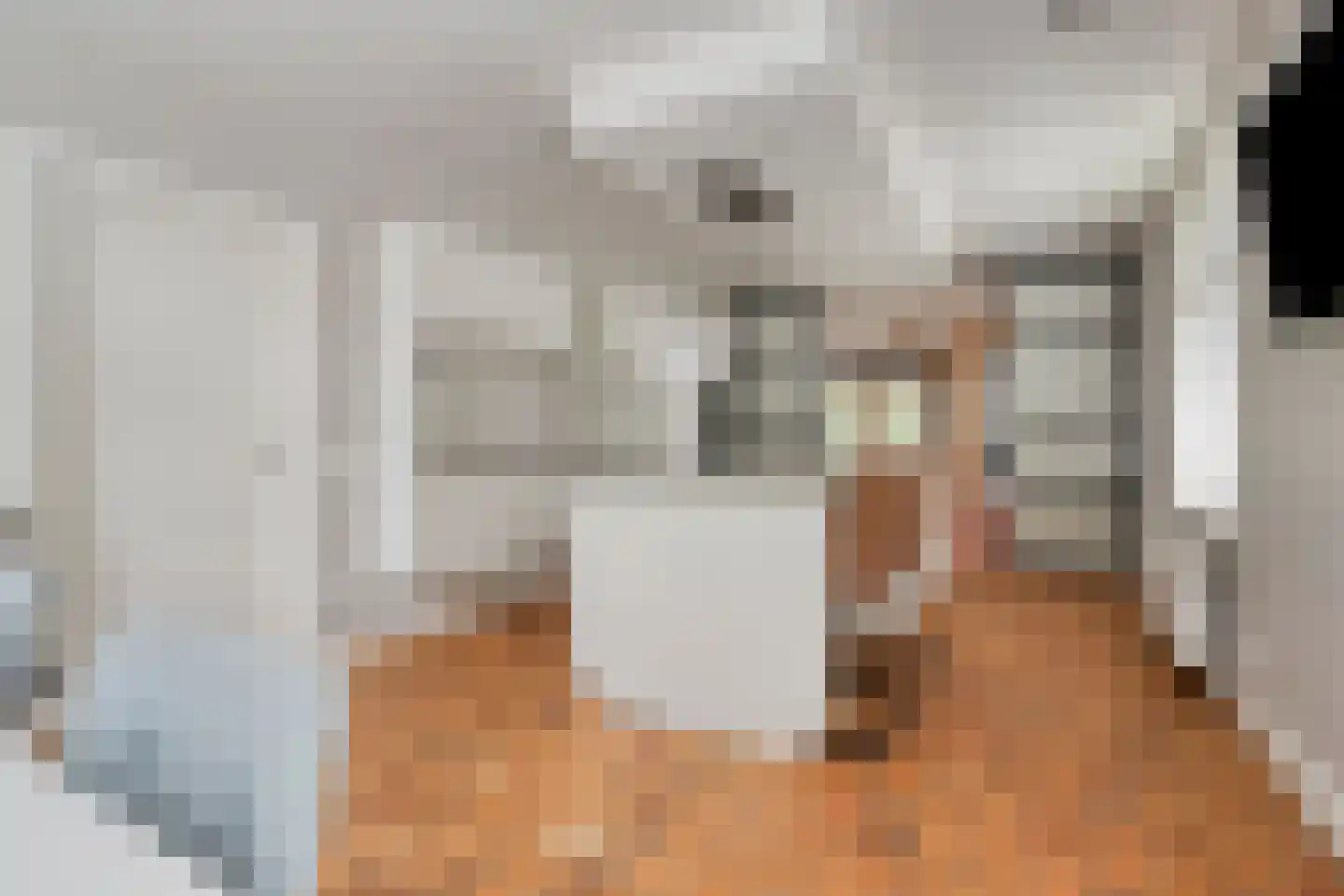 Loostraat 11 Loo Gld thumbnail 20