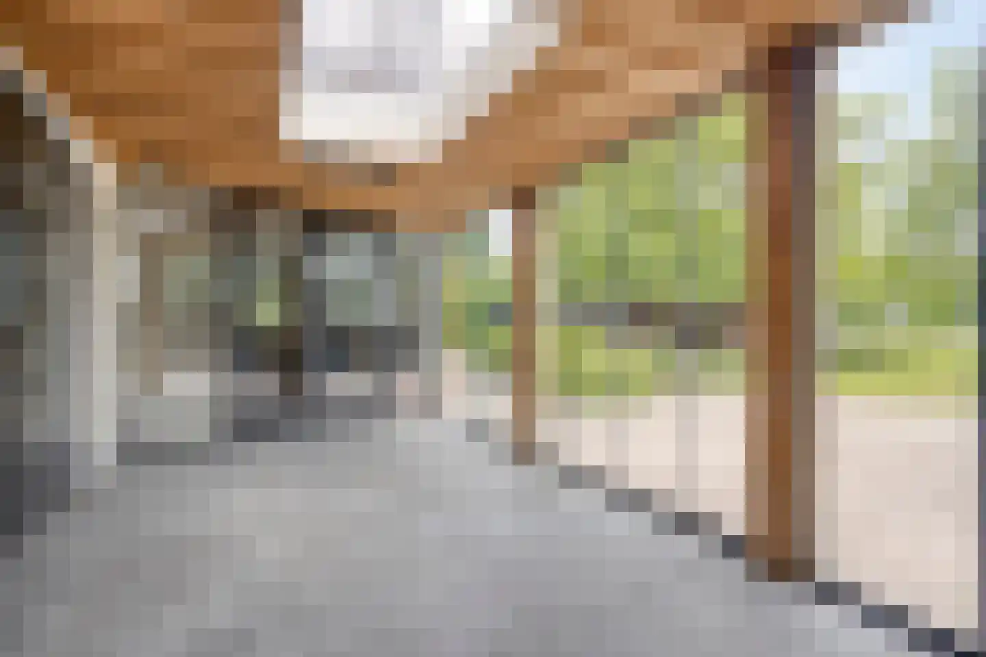 Loostraat 11 Loo Gld thumbnail 23