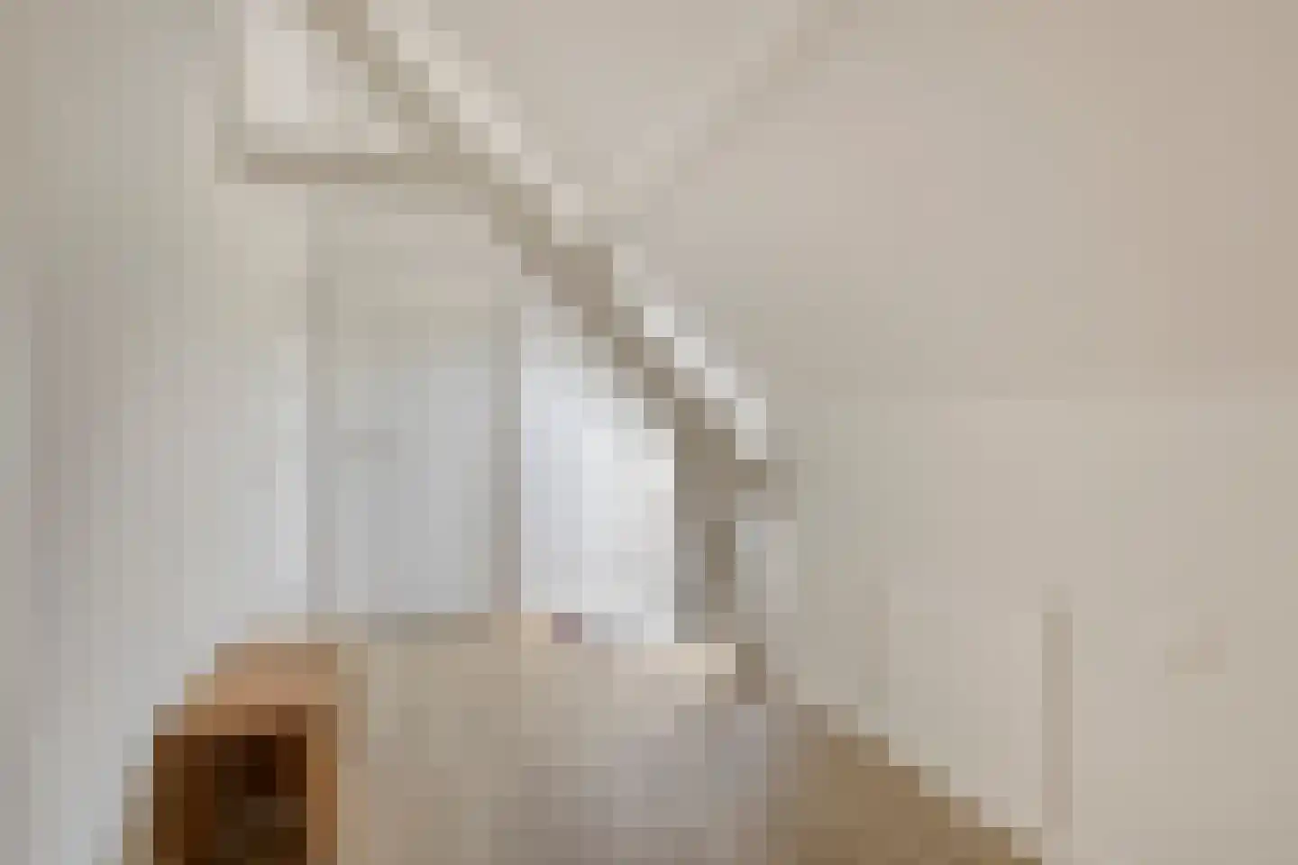 Loostraat 11 Loo Gld thumbnail 34