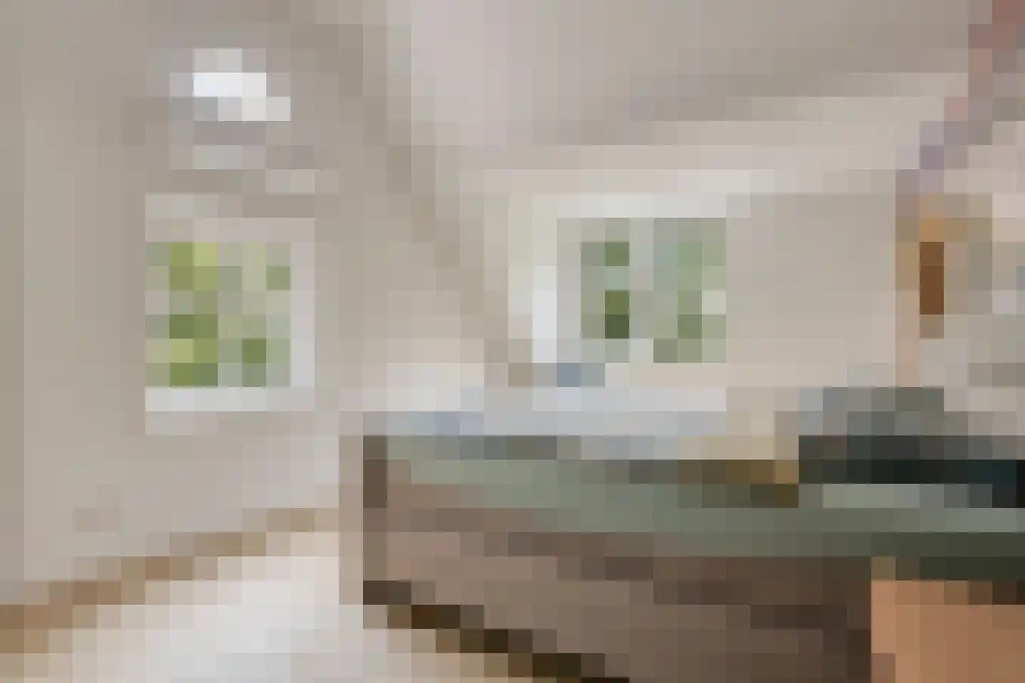Loostraat 11 Loo Gld thumbnail 35