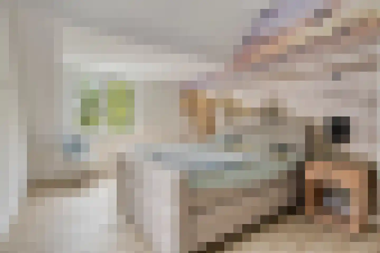 Loostraat 11 Loo Gld thumbnail 36