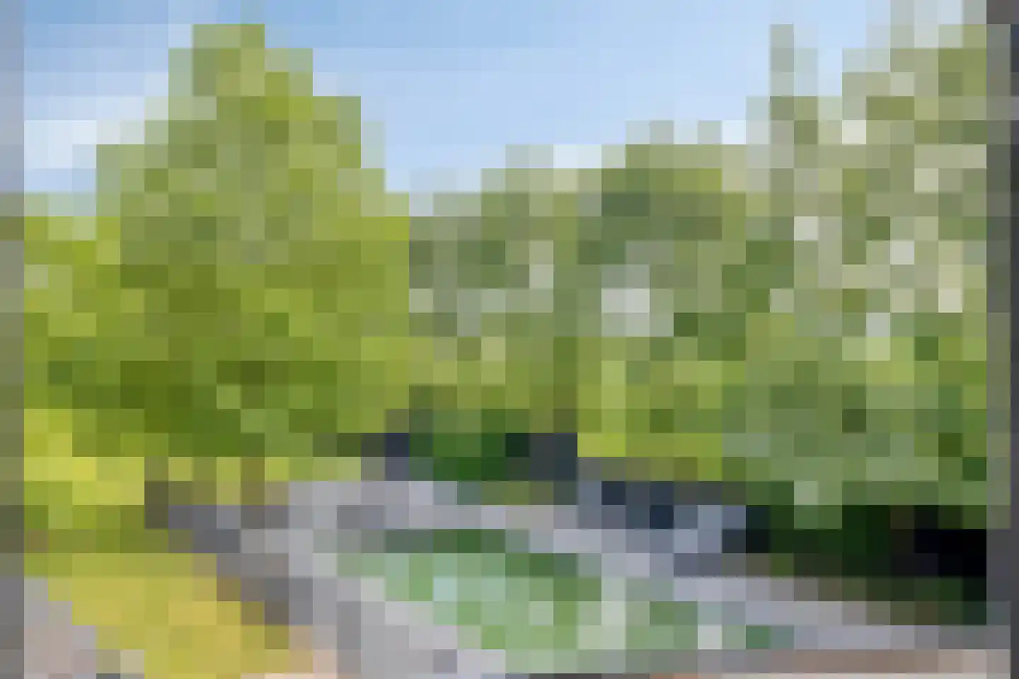 Loostraat 11 Loo Gld thumbnail 37