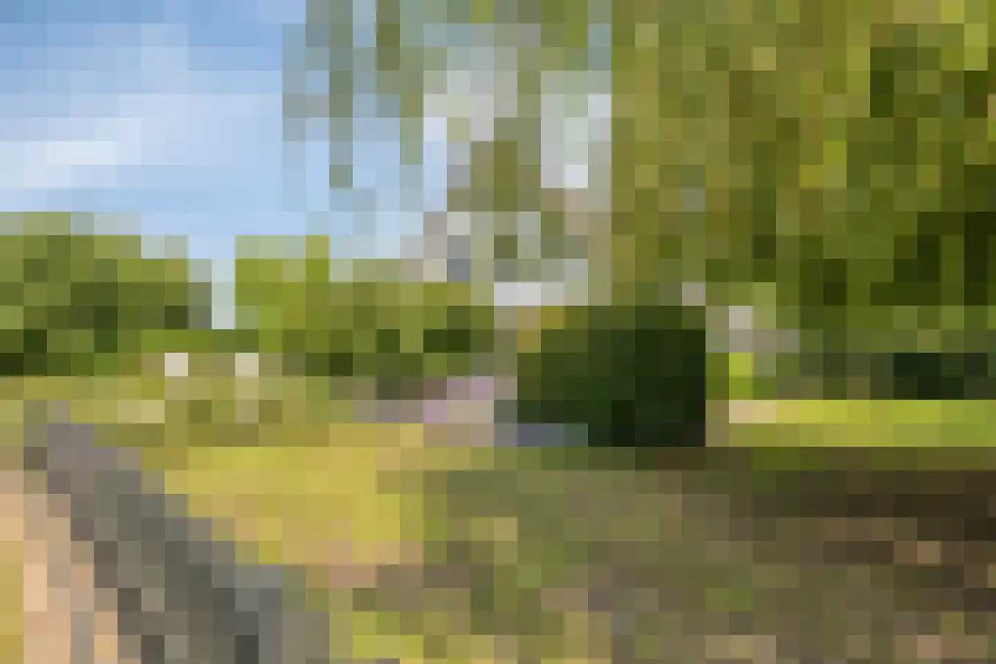 Loostraat 11 Loo Gld thumbnail 57