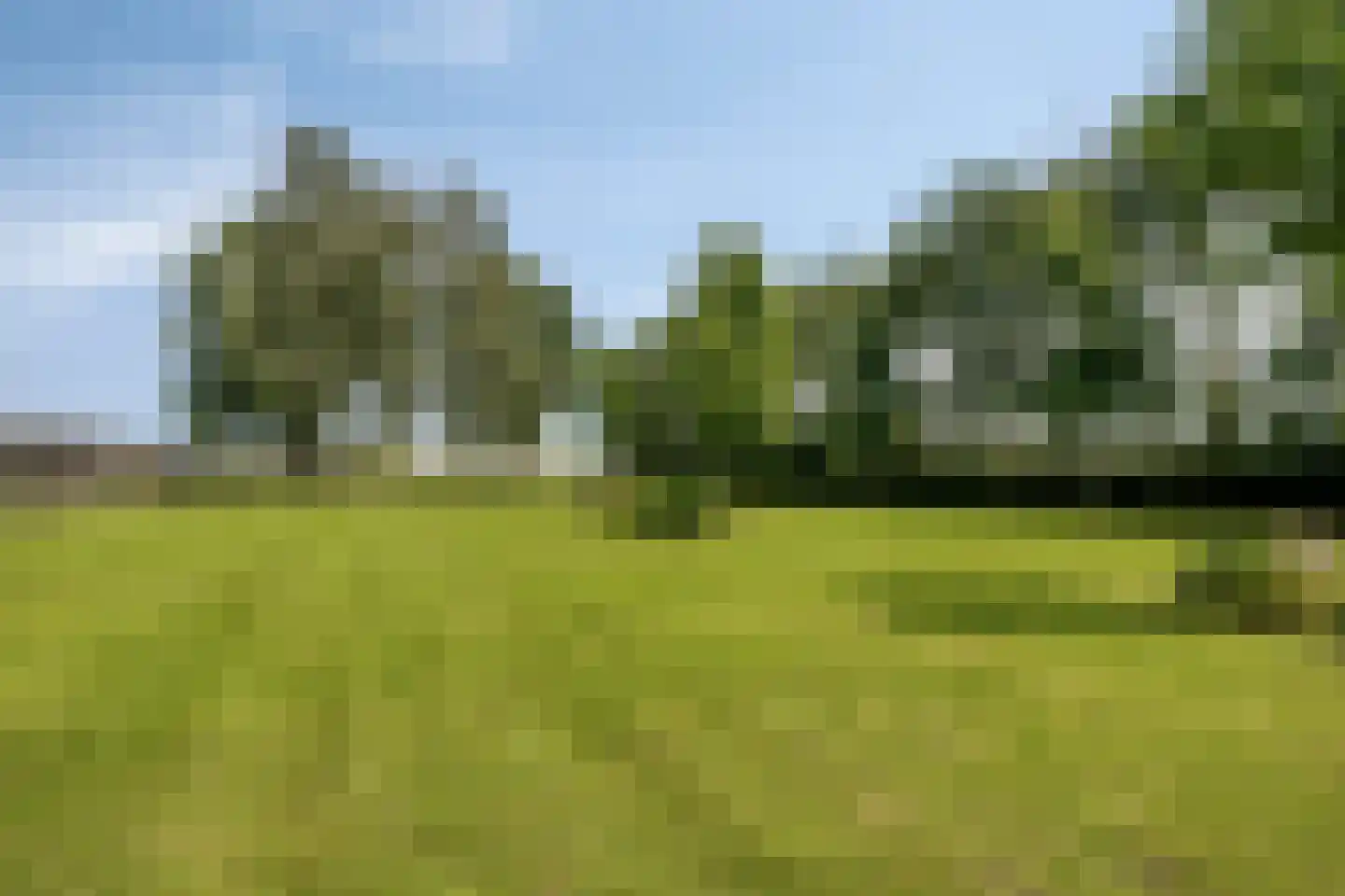 Loostraat 11 Loo Gld thumbnail 61
