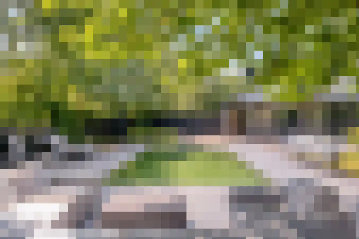 Loostraat 11 Loo Gld thumbnail 66