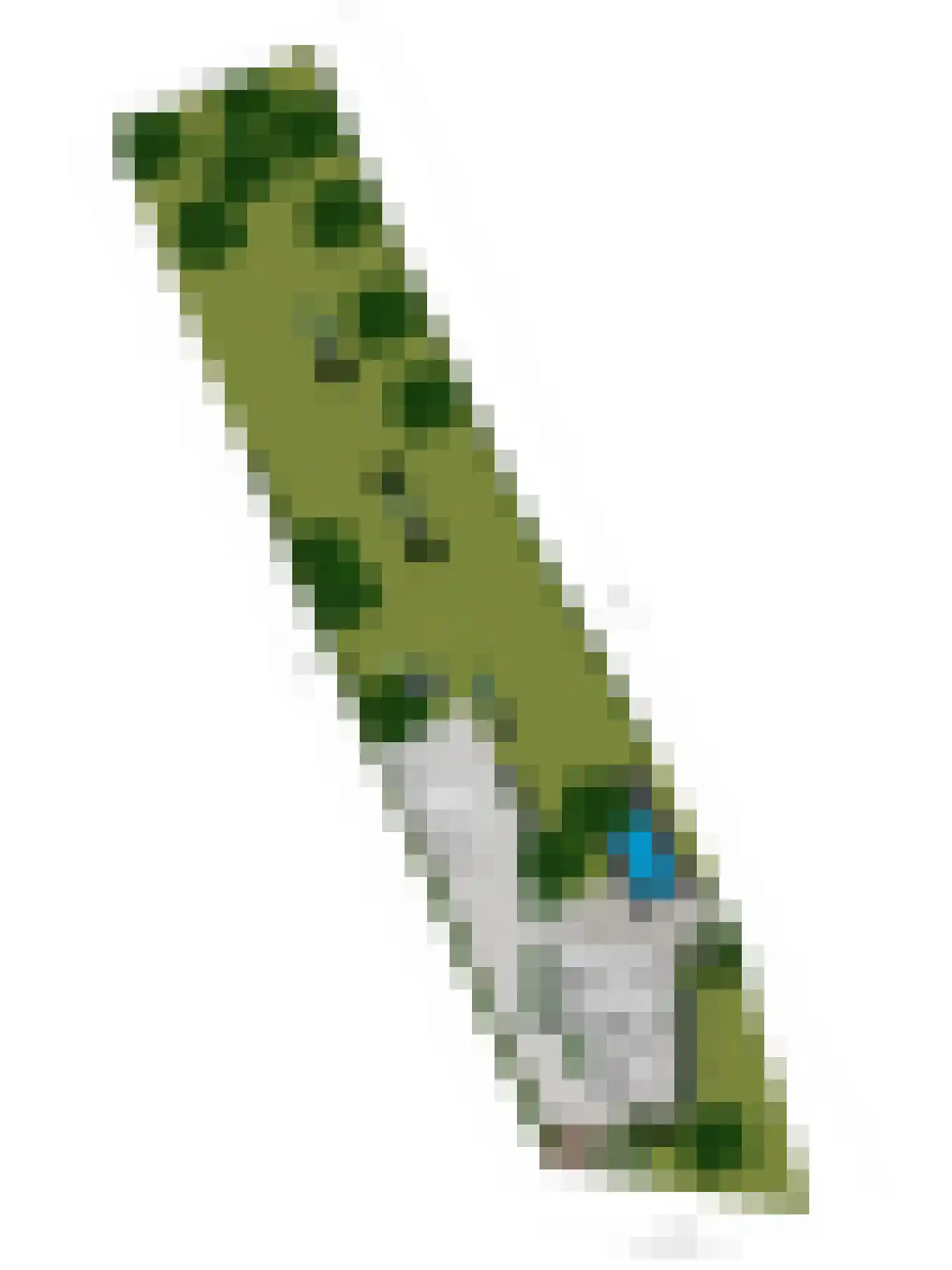 Loostraat 11 Loo Gld thumbnail 69