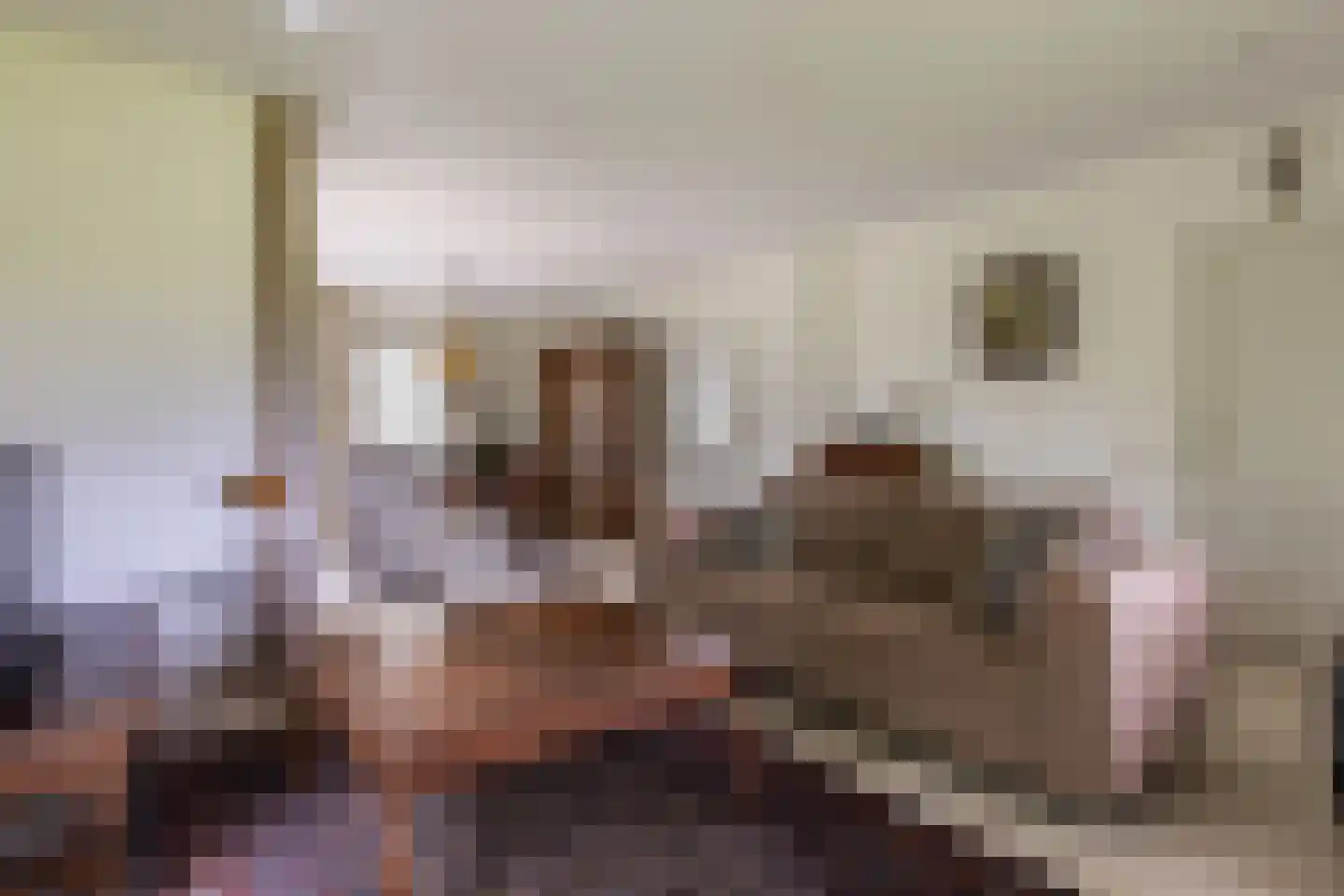 Loostraat 116 Huissen thumbnail 12