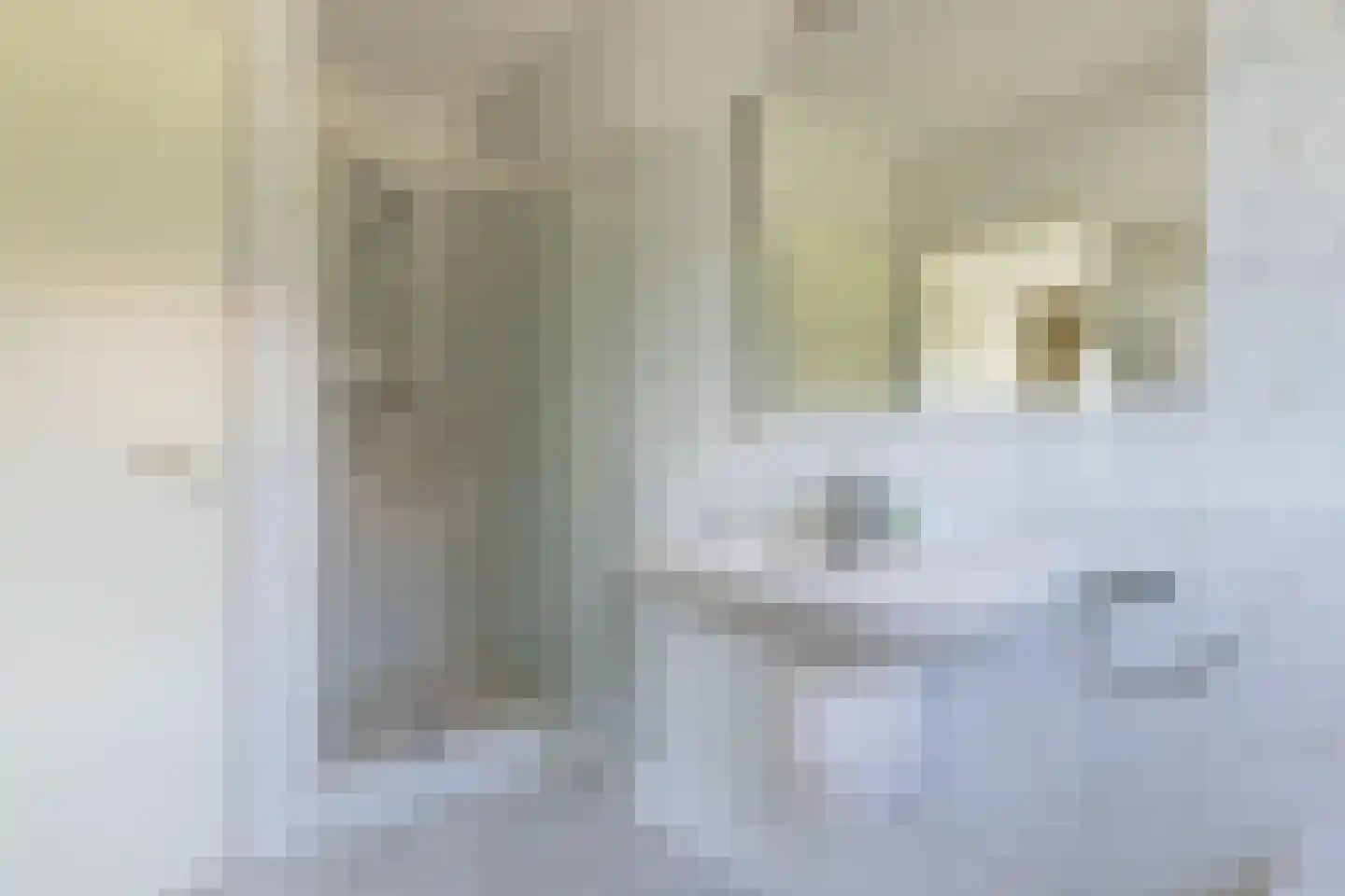 Loostraat 116 Huissen thumbnail 19