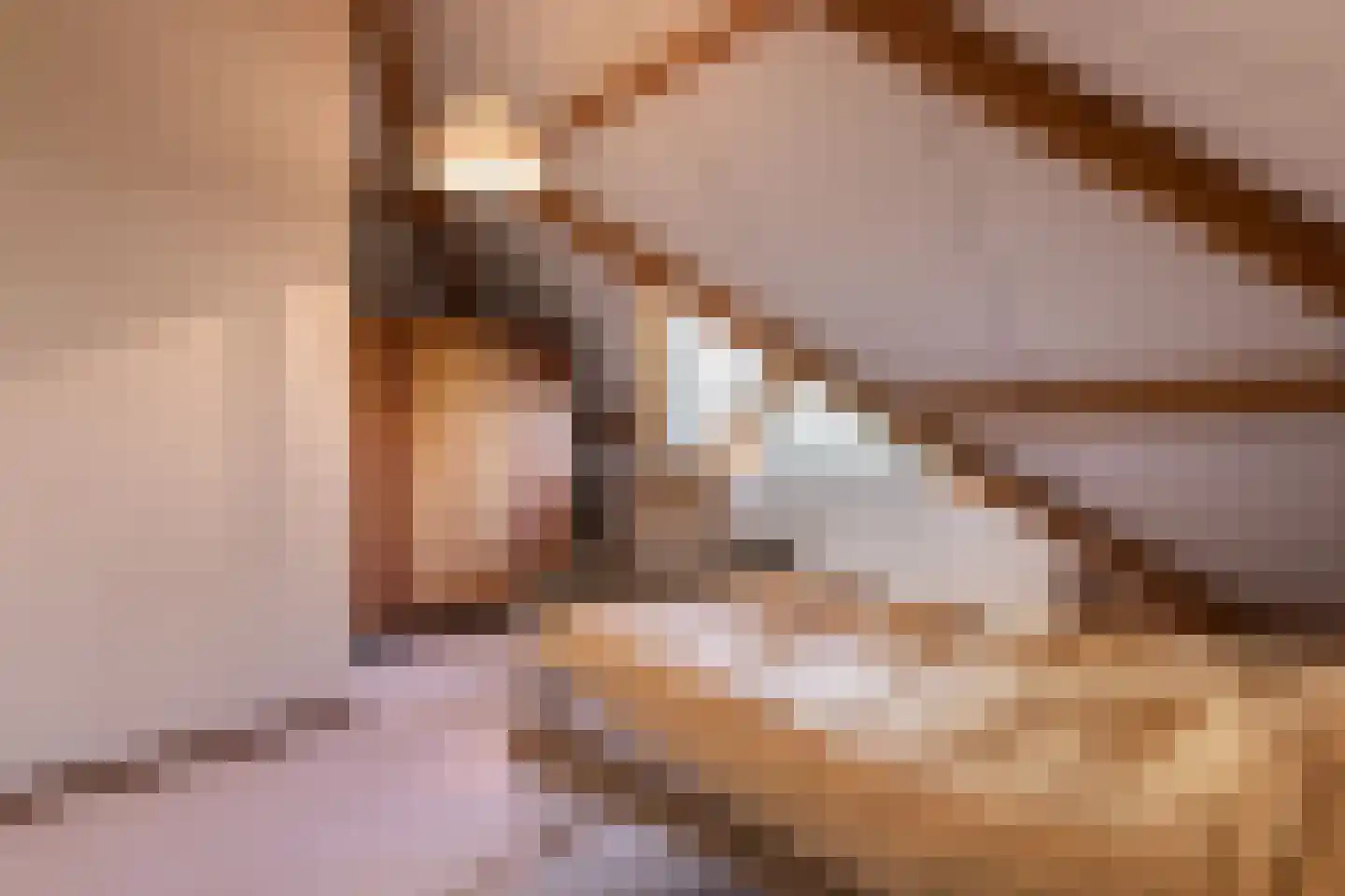 Loostraat 116 Huissen thumbnail 22