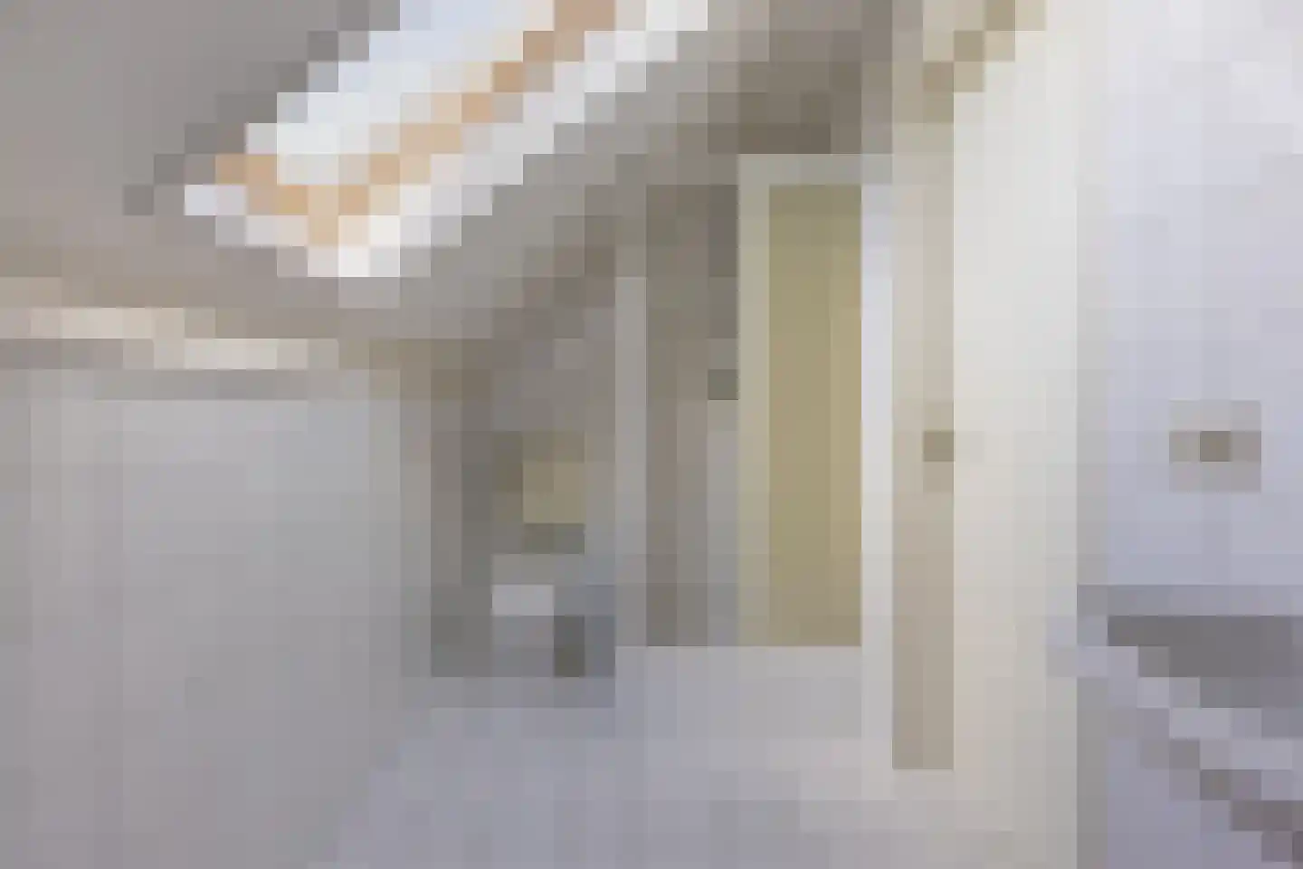 Loostraat 116 Huissen thumbnail 25
