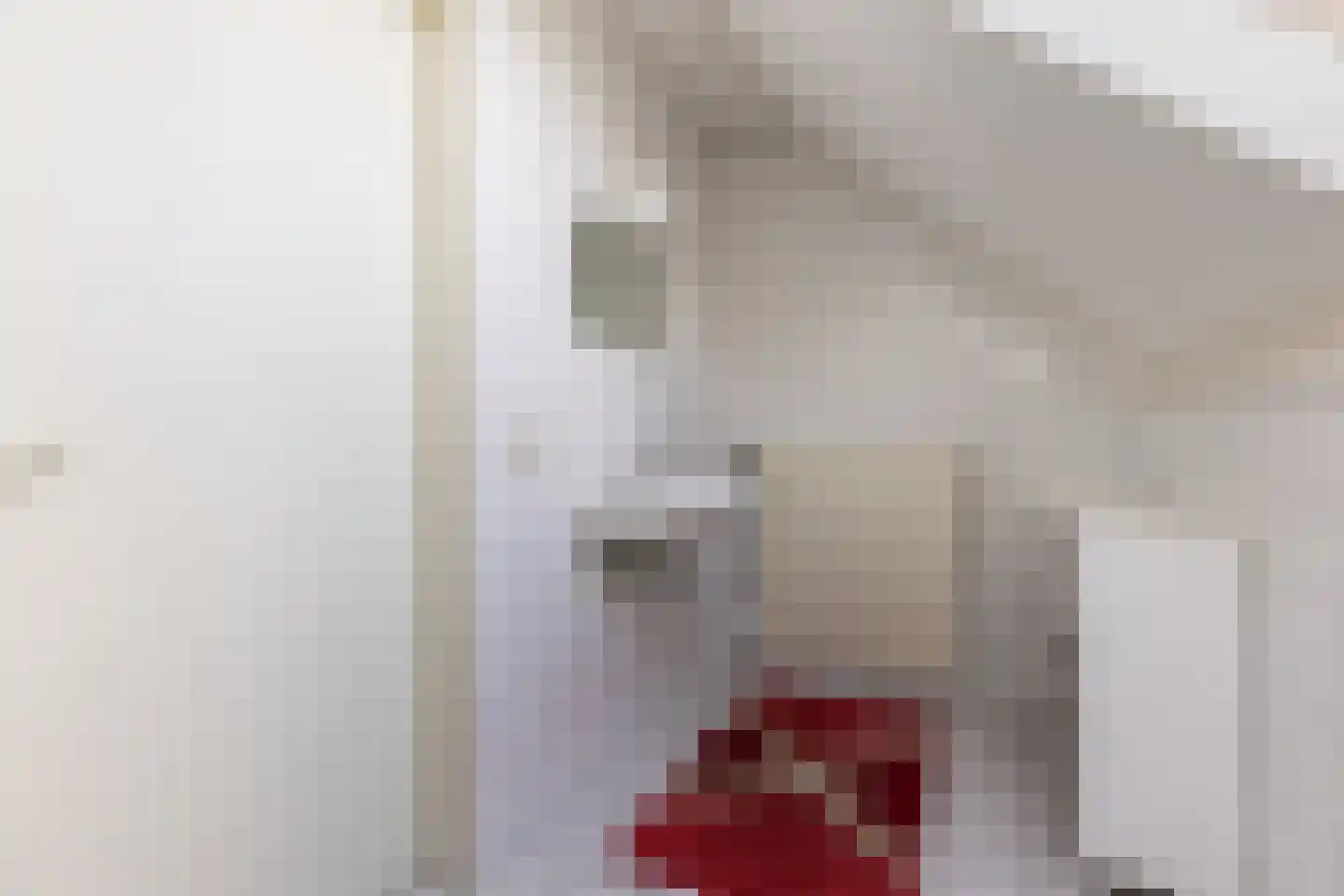 Loostraat 116 Huissen thumbnail 26