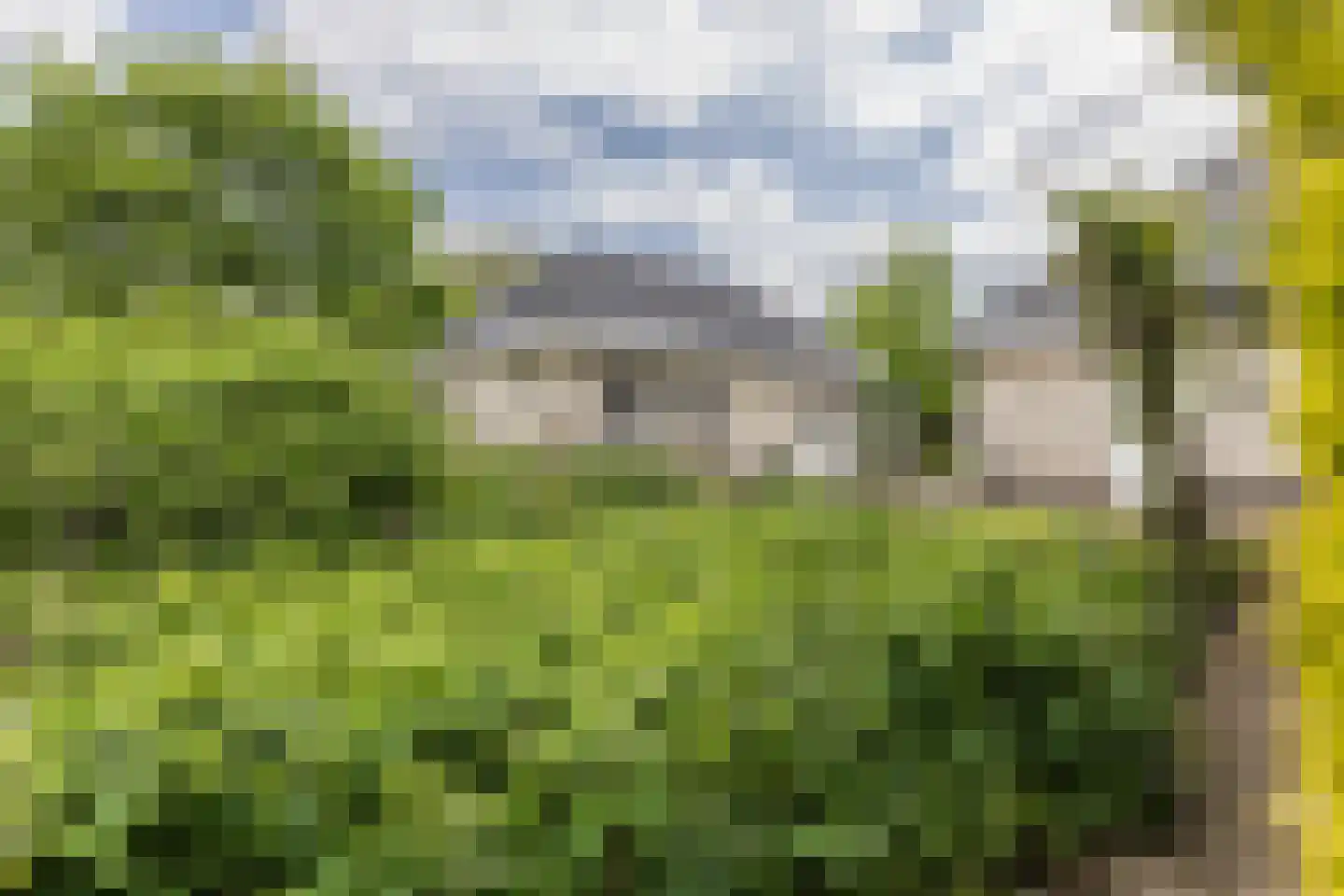 Loostraat 116 Huissen thumbnail 28