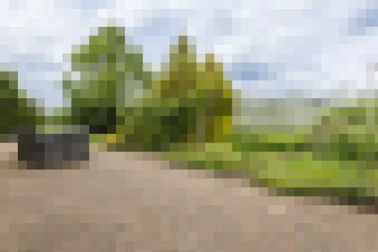 Loostraat 116 Huissen thumbnail 30