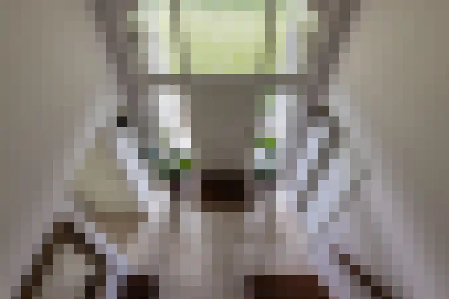 Loostraat 116 Huissen thumbnail 6