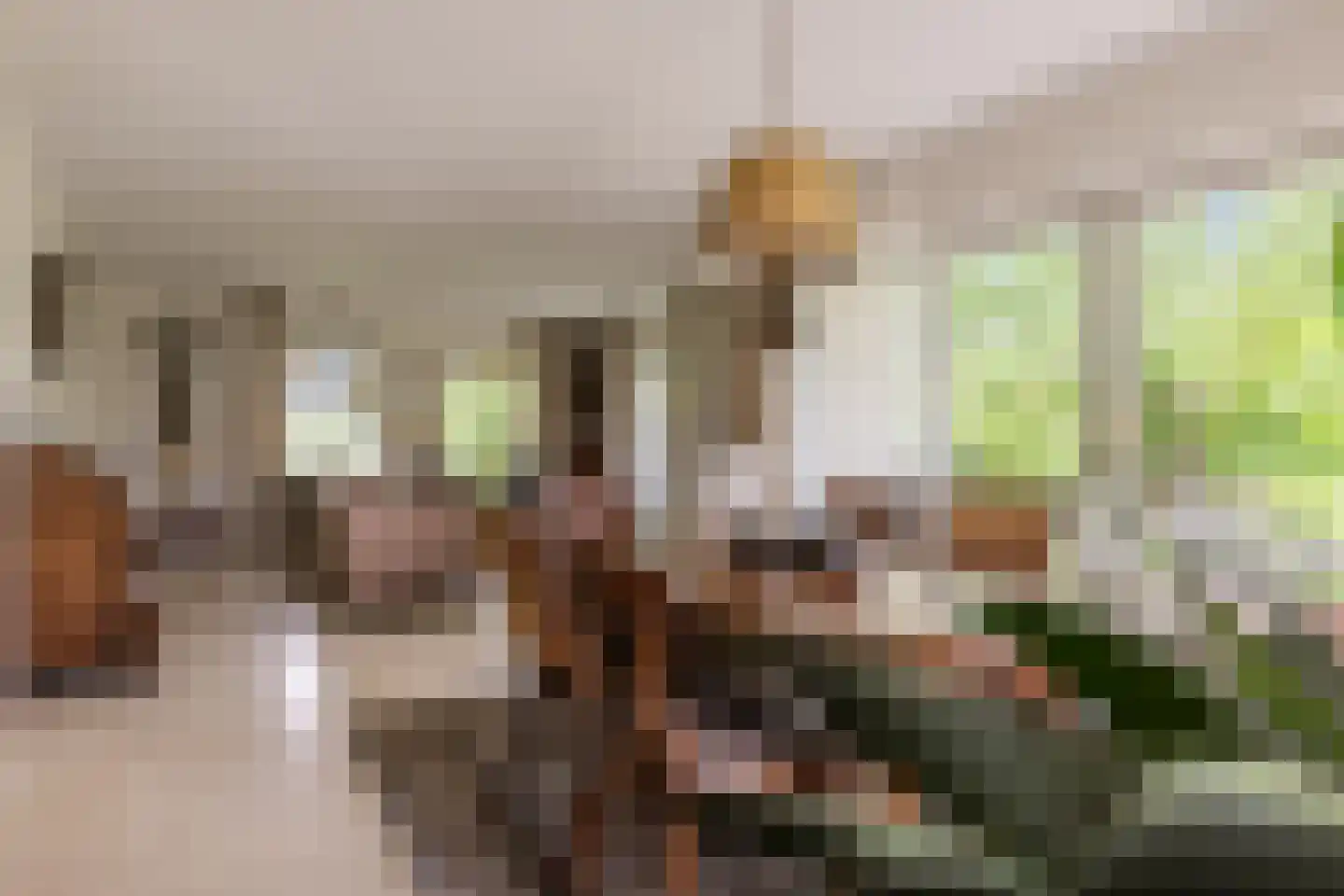 Loostraat 116 Huissen thumbnail 8