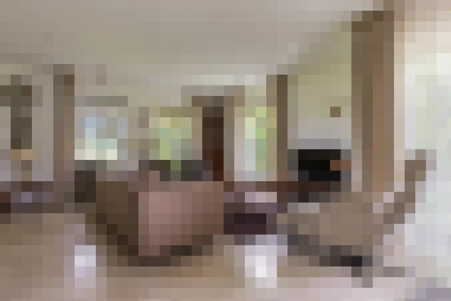 Loostraat 116 Huissen thumbnail 9