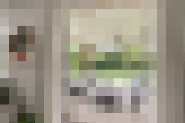 Loostraat 121 Huissen thumbnail 10