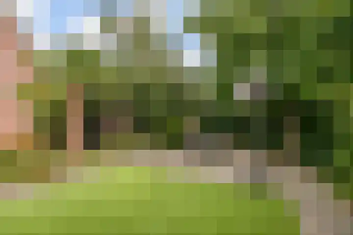 Loostraat 121 Huissen thumbnail 13