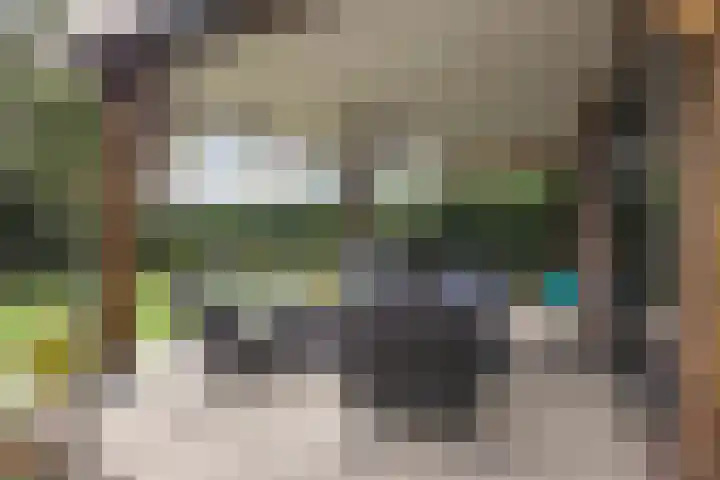 Loostraat 121 Huissen thumbnail 14