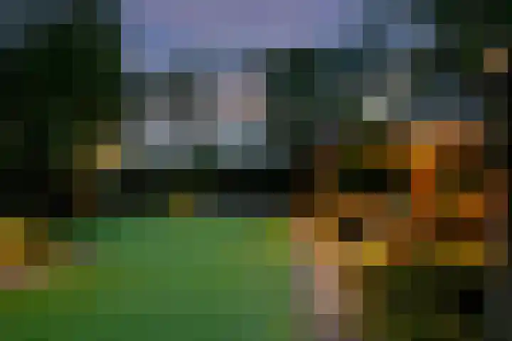 Loostraat 121 Huissen thumbnail 17