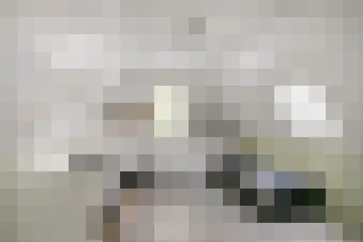Loostraat 121 Huissen thumbnail 25