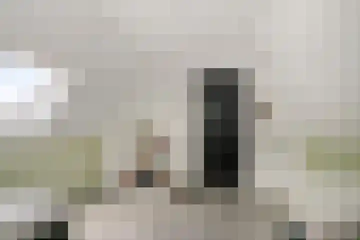 Loostraat 121 Huissen thumbnail 26