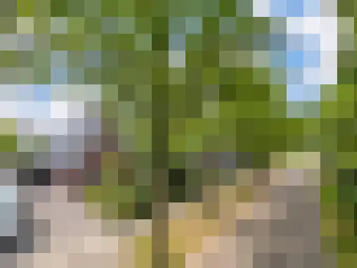 Loostraat 121 Huissen thumbnail 30