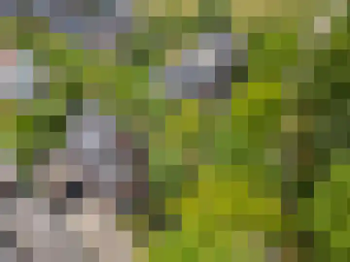Loostraat 121 Huissen thumbnail 31